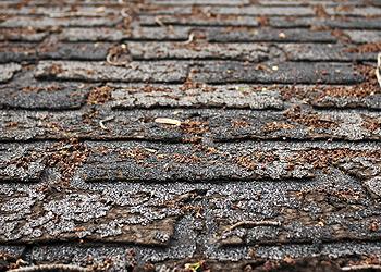 Ken Cooper Roofing Images