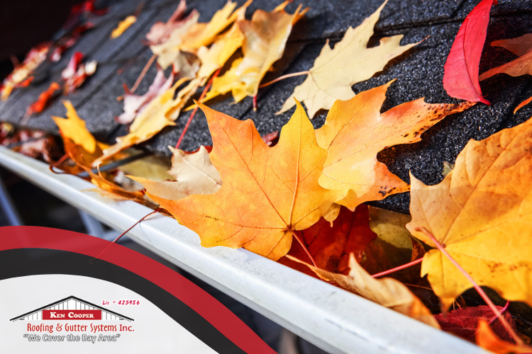 san rafael seamless gutters