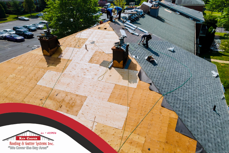 Expert San Rafael Roofer team installing a new roof, showcasing winter roofing projects in San Rafael.
