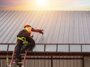Metal roof installation in Tiburon for efficient rainwater harvesting, showcasing eco-friendly roofing solutions.
