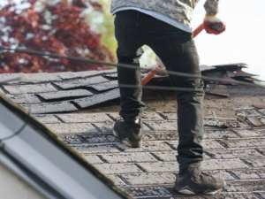 San Rafael Roofer expertly tearing off old shingles in preparation for a new roof installation, demonstrating quality workmanship in roof replacement.