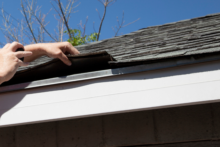 Kentfield roof repair expert inspecting shingles for summer maintenance