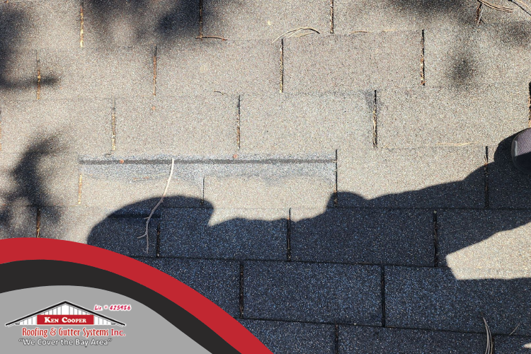 Professional roofer inspecting a Ross home’s roof for damage and maintenance needs.