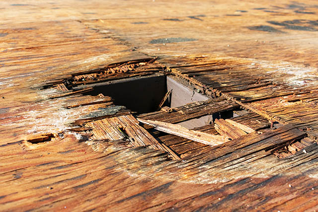 roof decay