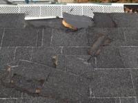 San Rafael Roofers Complete Installation oF Free New Roof For Novato Family
