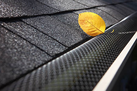 gutter with guard blocking leaf